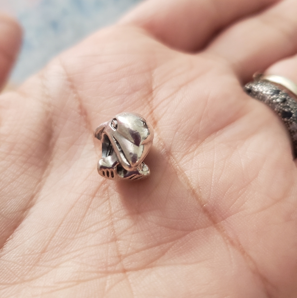 Pandora Charm
